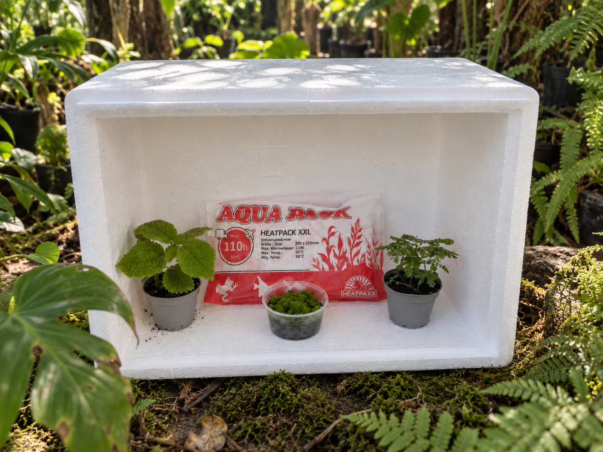Heatpack+Isolierbox