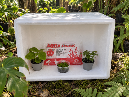 Heatpack+Isolierbox